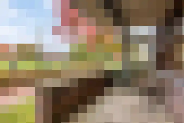 Brandts Buyspark 23 Deventer thumbnail 24