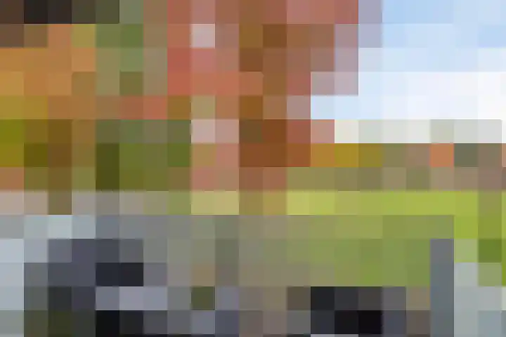 Brandts Buyspark 23 Deventer thumbnail 4
