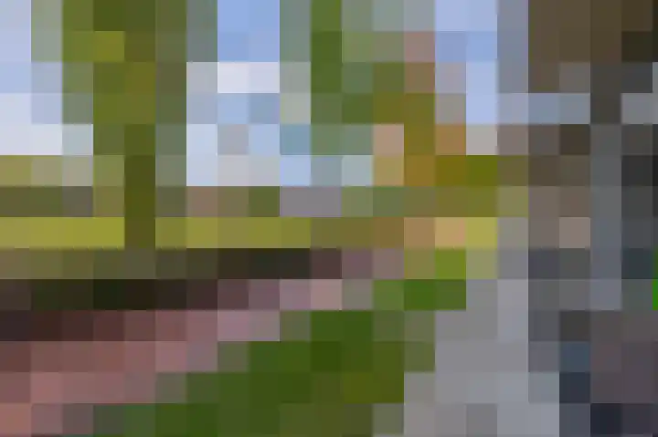 Brandts Buyspark 31 Deventer thumbnail 27