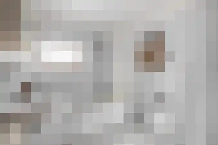 Brandts Buyspark 31 Deventer thumbnail 33