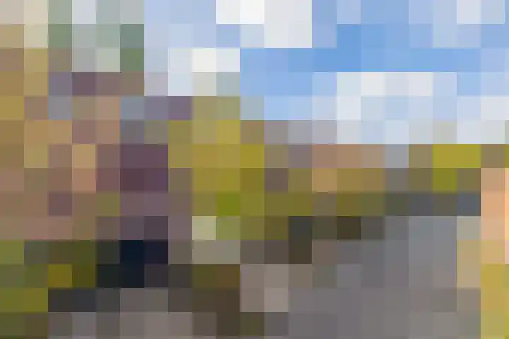 Brandts Buyspark 31 Deventer thumbnail 5