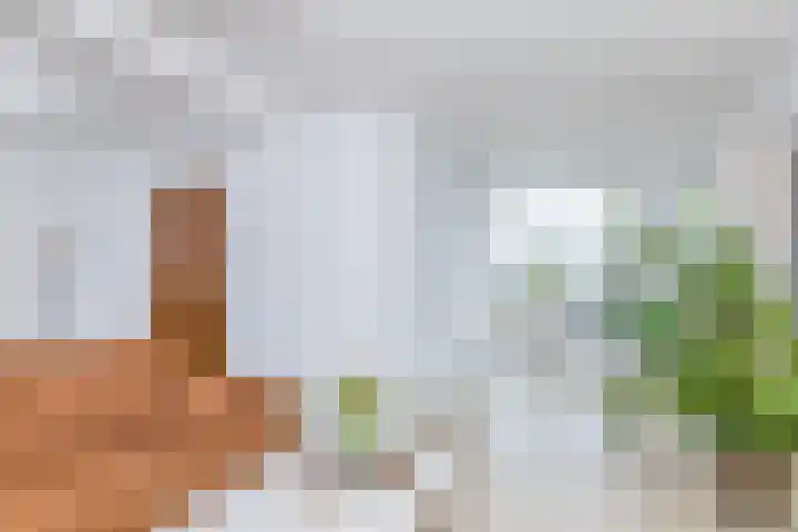 Brandtstraat 1 Eygelshoven thumbnail 11