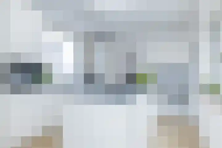 Brandtstraat 1 Eygelshoven thumbnail 19