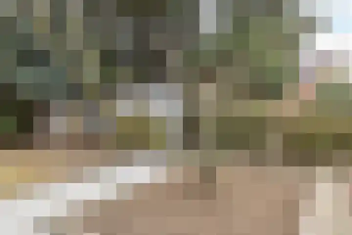 Brandtstraat 1 Eygelshoven thumbnail 31