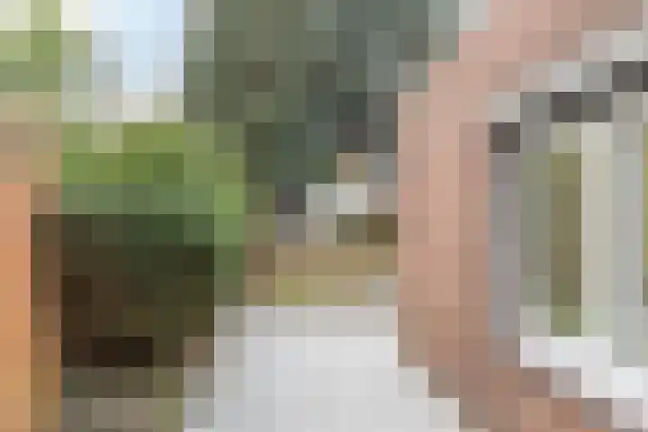 Brandtstraat 1 Eygelshoven thumbnail 35