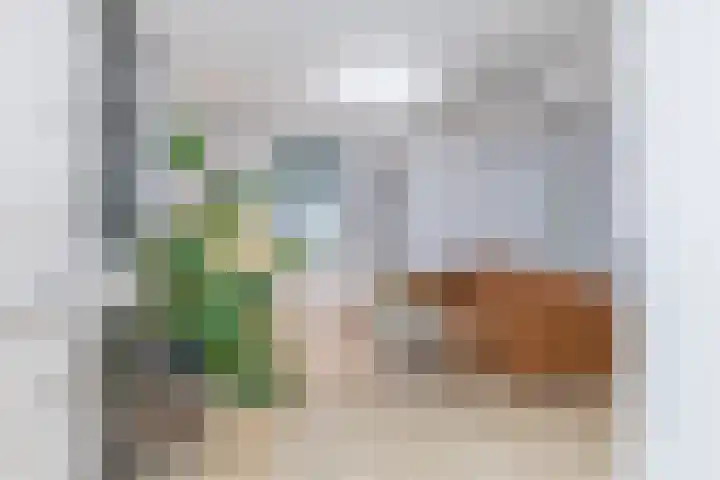 Brandtstraat 1 Eygelshoven thumbnail 5