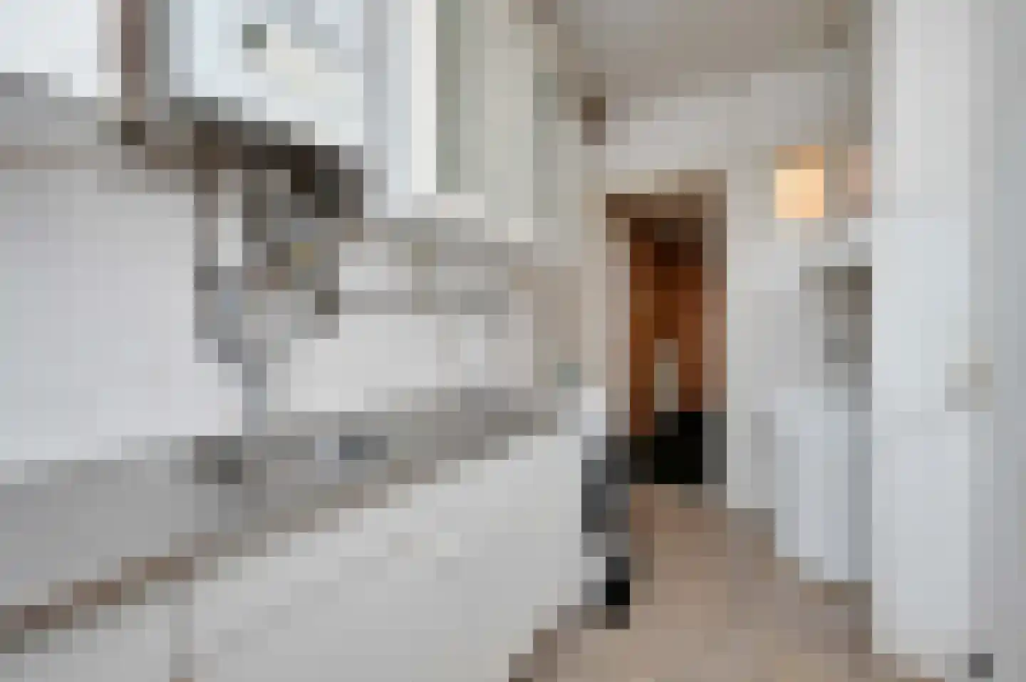 Brandtstraat 131 Den Haag thumbnail 21