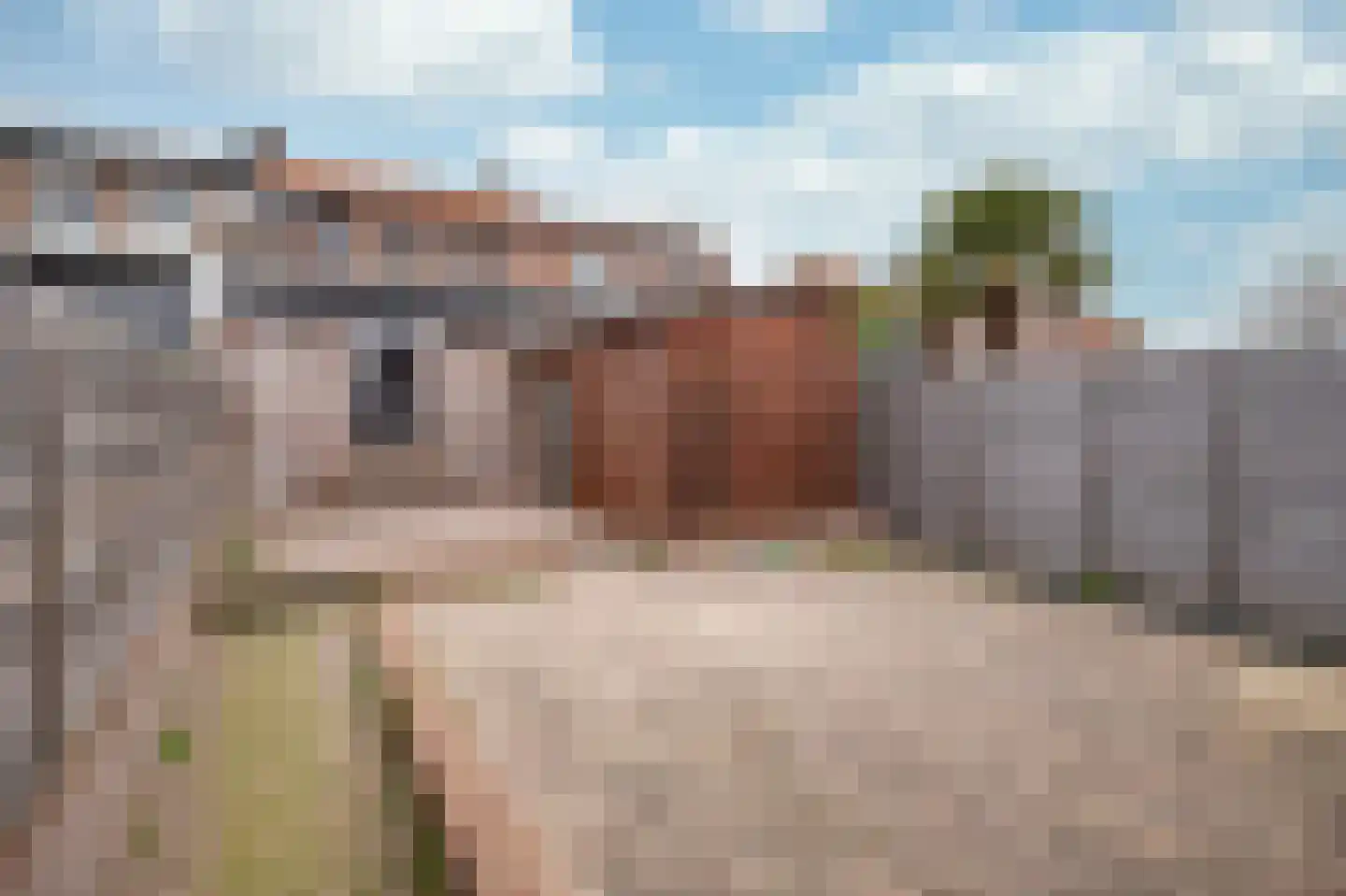 Brandtstraat 16 Eygelshoven thumbnail 16