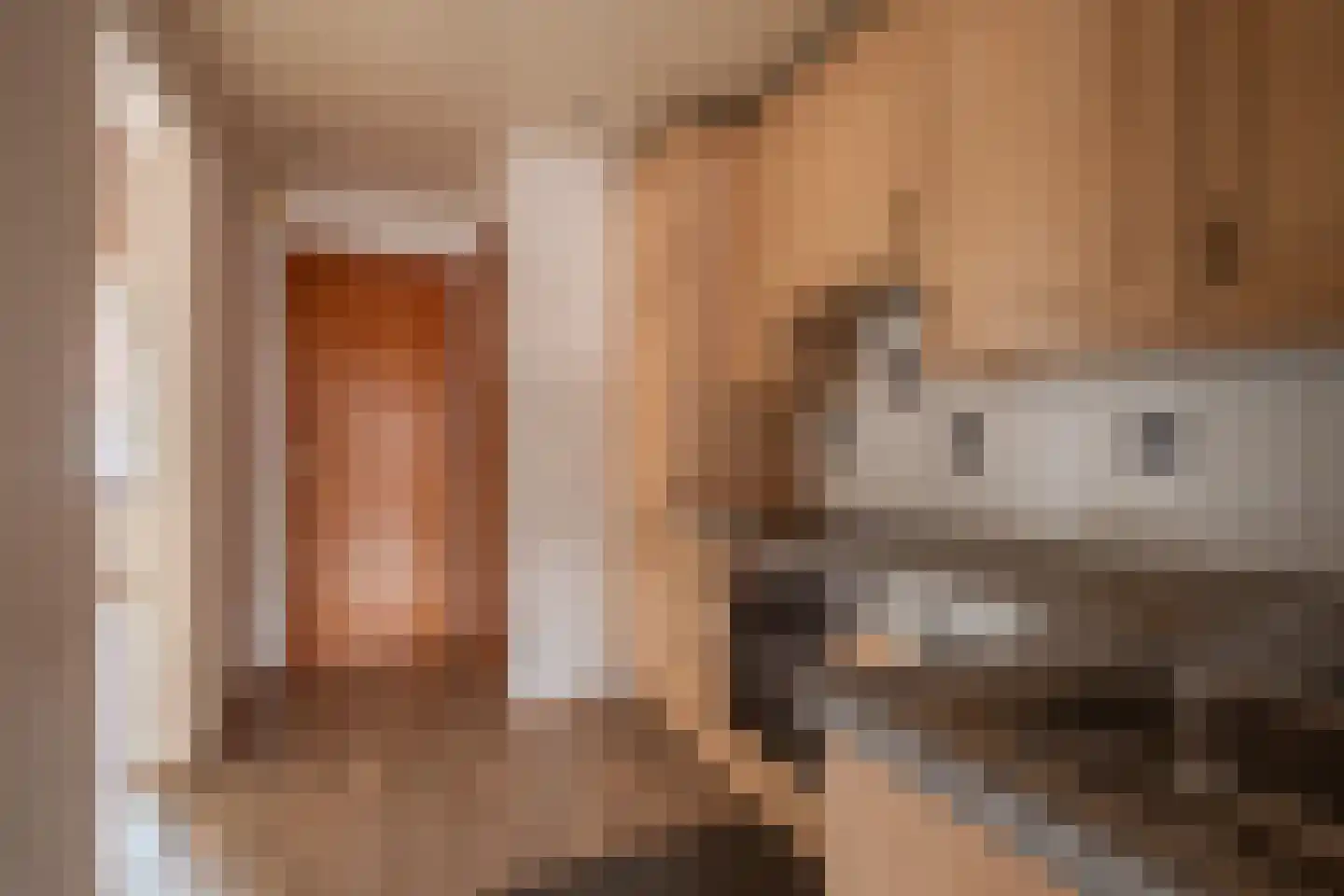 Brandtstraat 16 Eygelshoven thumbnail 7