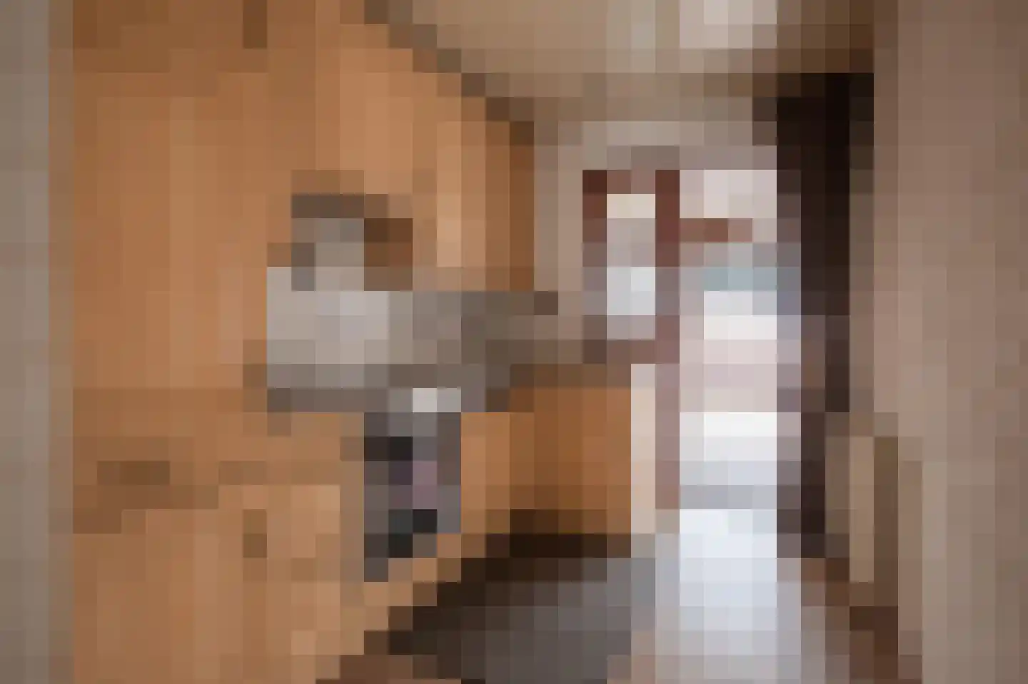 Brandtstraat 16 Eygelshoven thumbnail 8