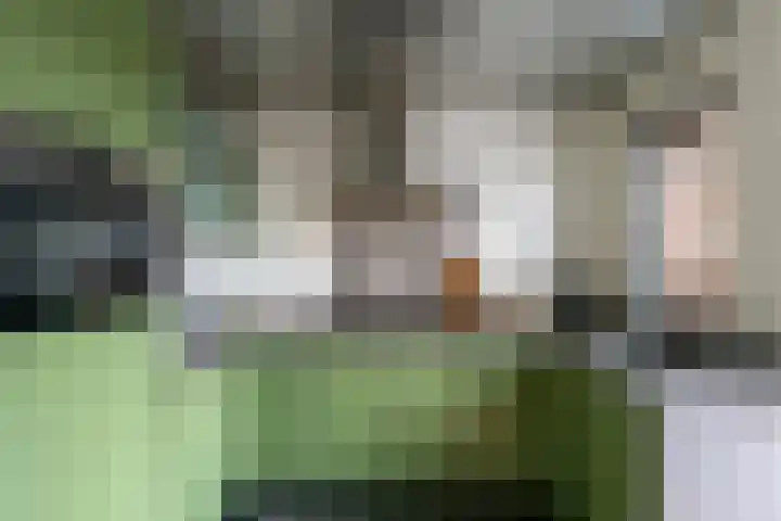 Brandtstraat 33 Eygelshoven thumbnail 10