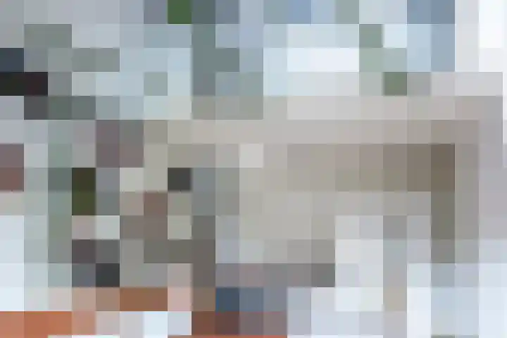 Brandtstraat 33 Eygelshoven thumbnail 20