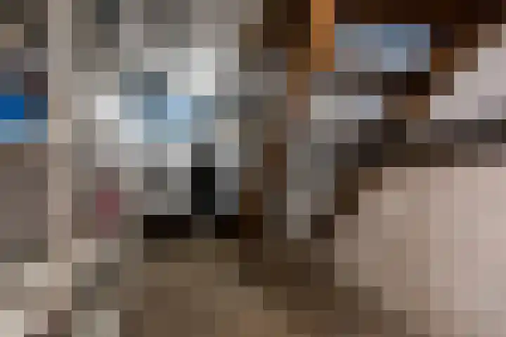Brandtstraat 33 Eygelshoven thumbnail 26