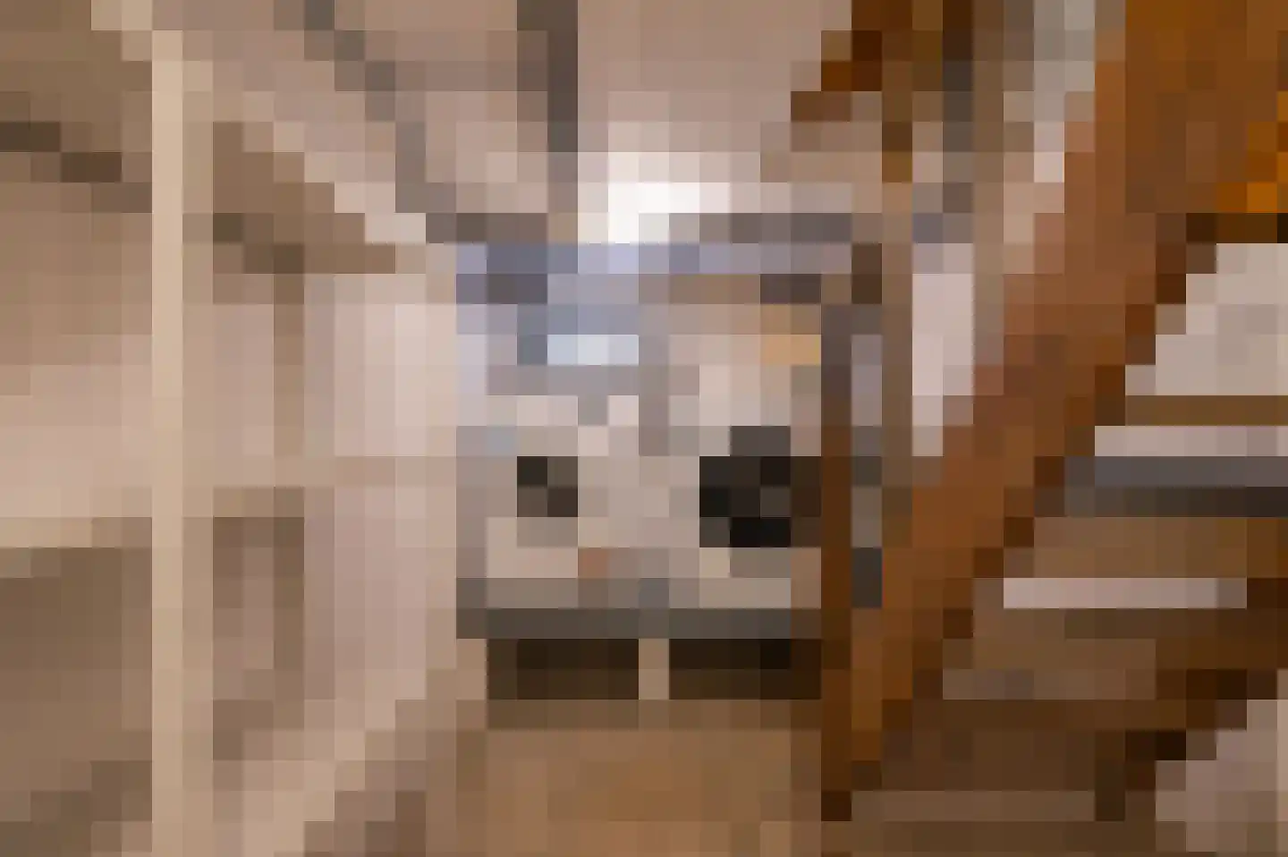 Brandtstraat 33 Eygelshoven thumbnail 29
