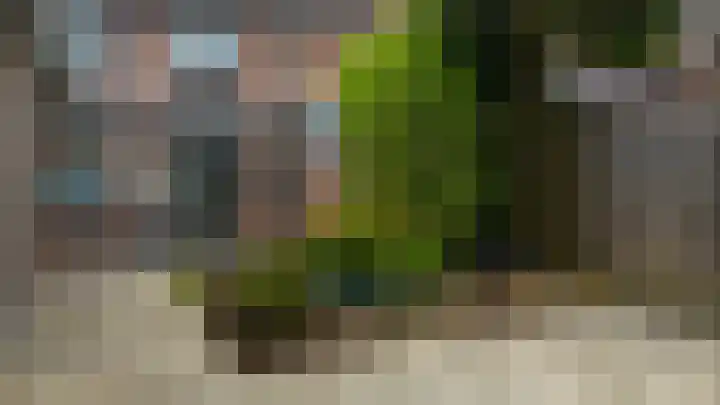 Brandtstraat 33 Eygelshoven thumbnail 34