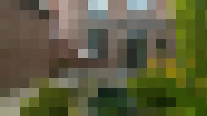 Brandtstraat 33 Eygelshoven thumbnail 35