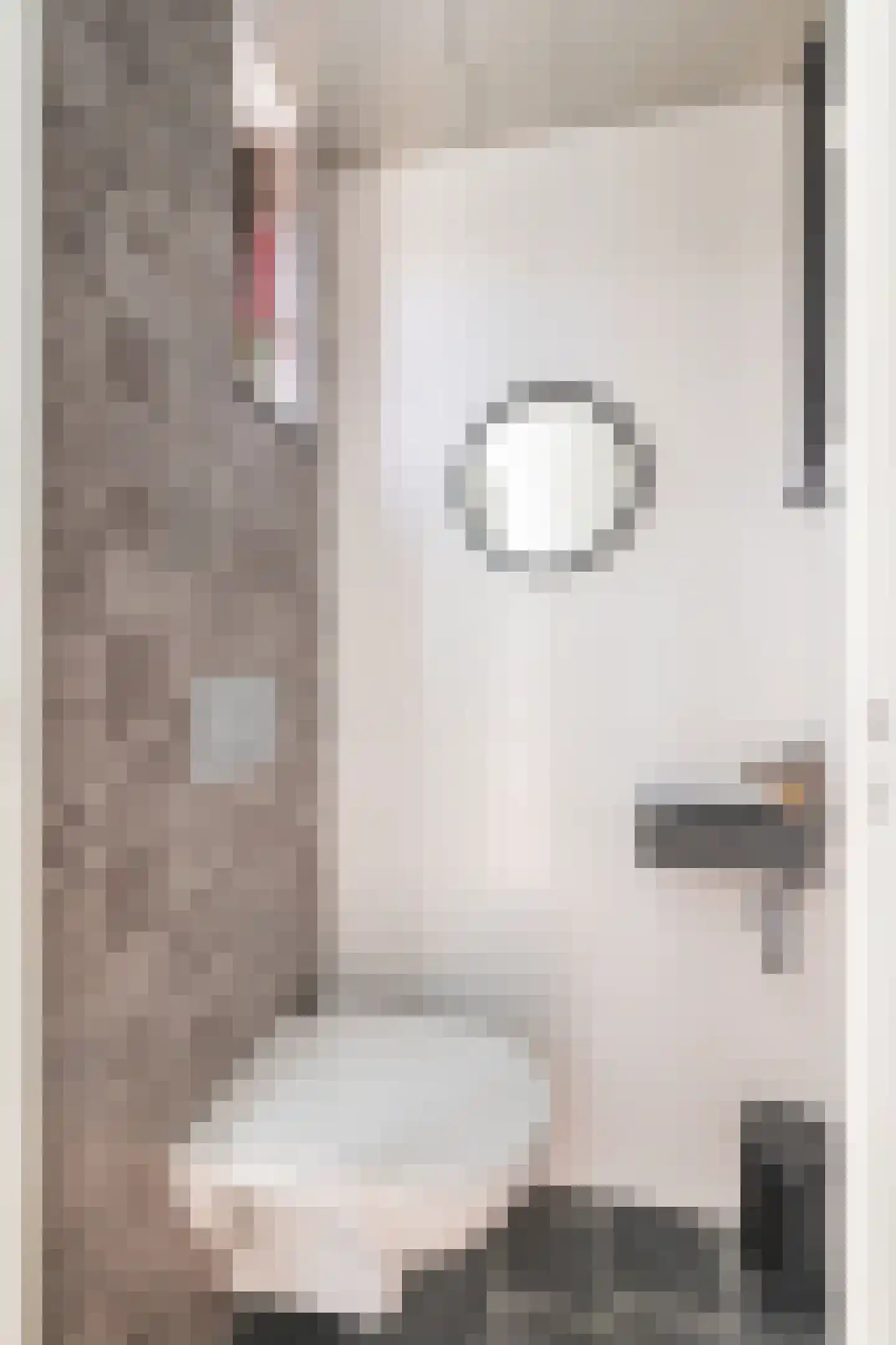 Brandtstraat 33 Eygelshoven thumbnail 5