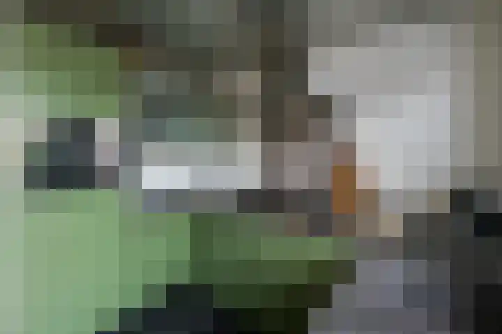 Brandtstraat 33 Eygelshoven thumbnail 9