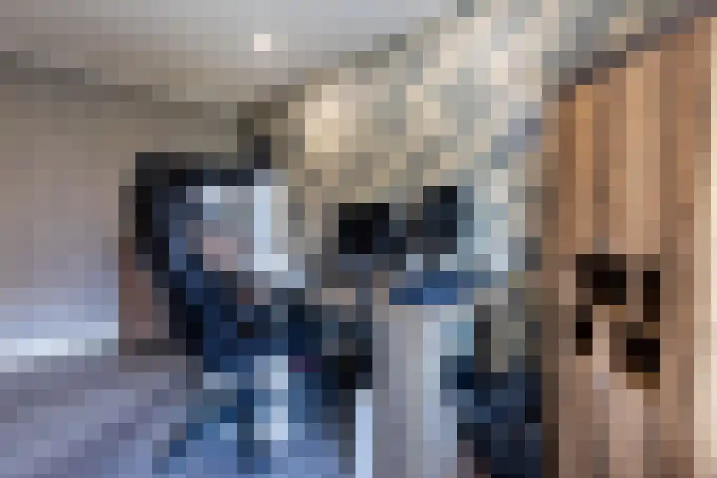 Brandtstraat 35 Eygelshoven thumbnail 17