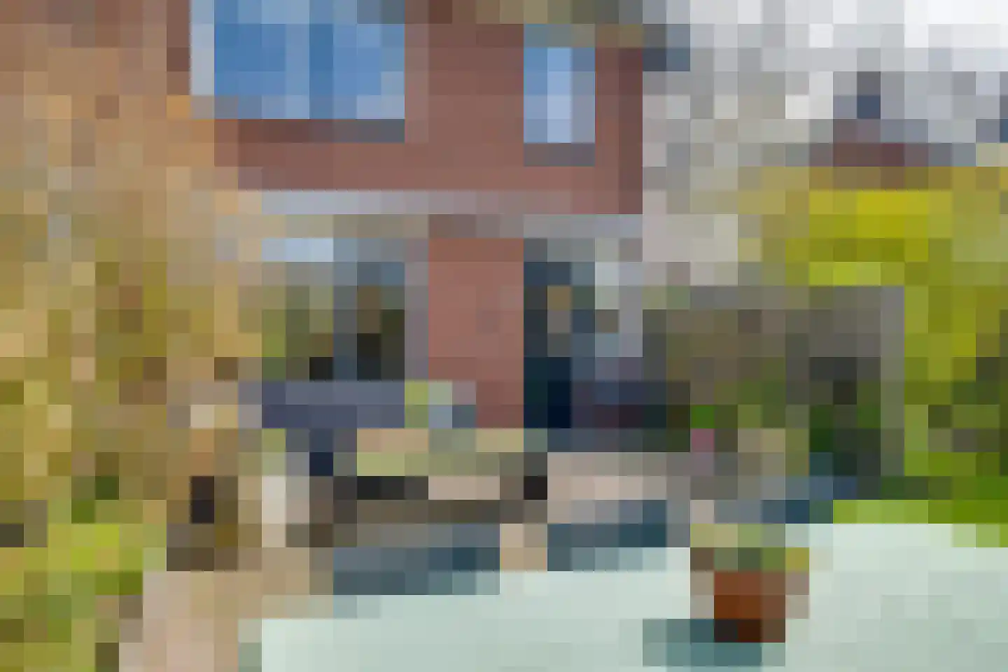 Braninkkamp 38 Laren thumbnail 24