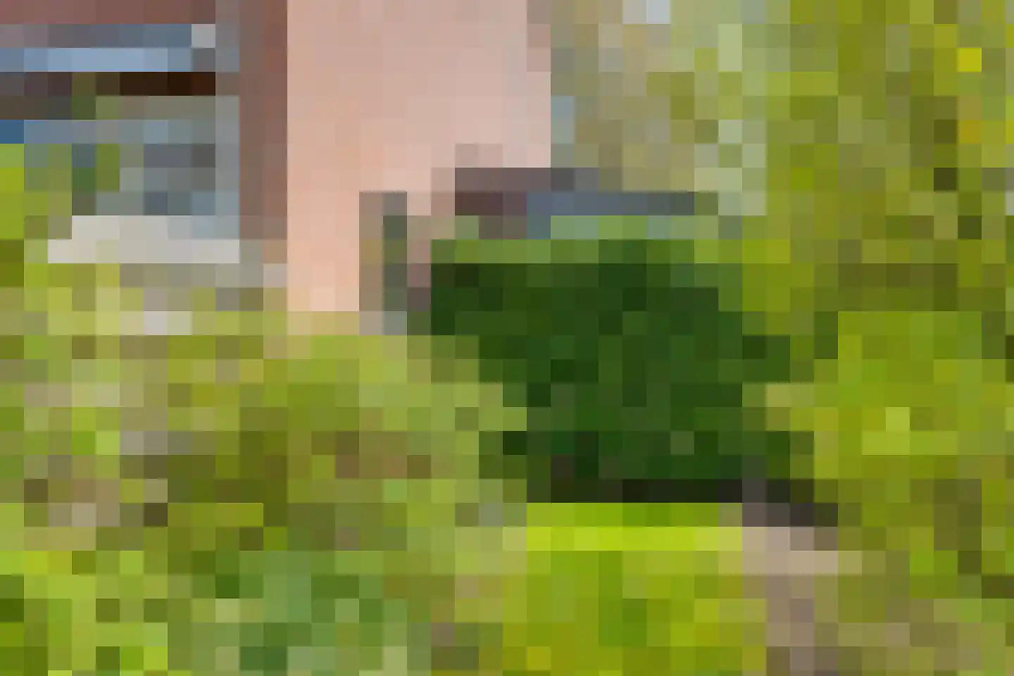 Braninkkamp 38 Laren thumbnail 26