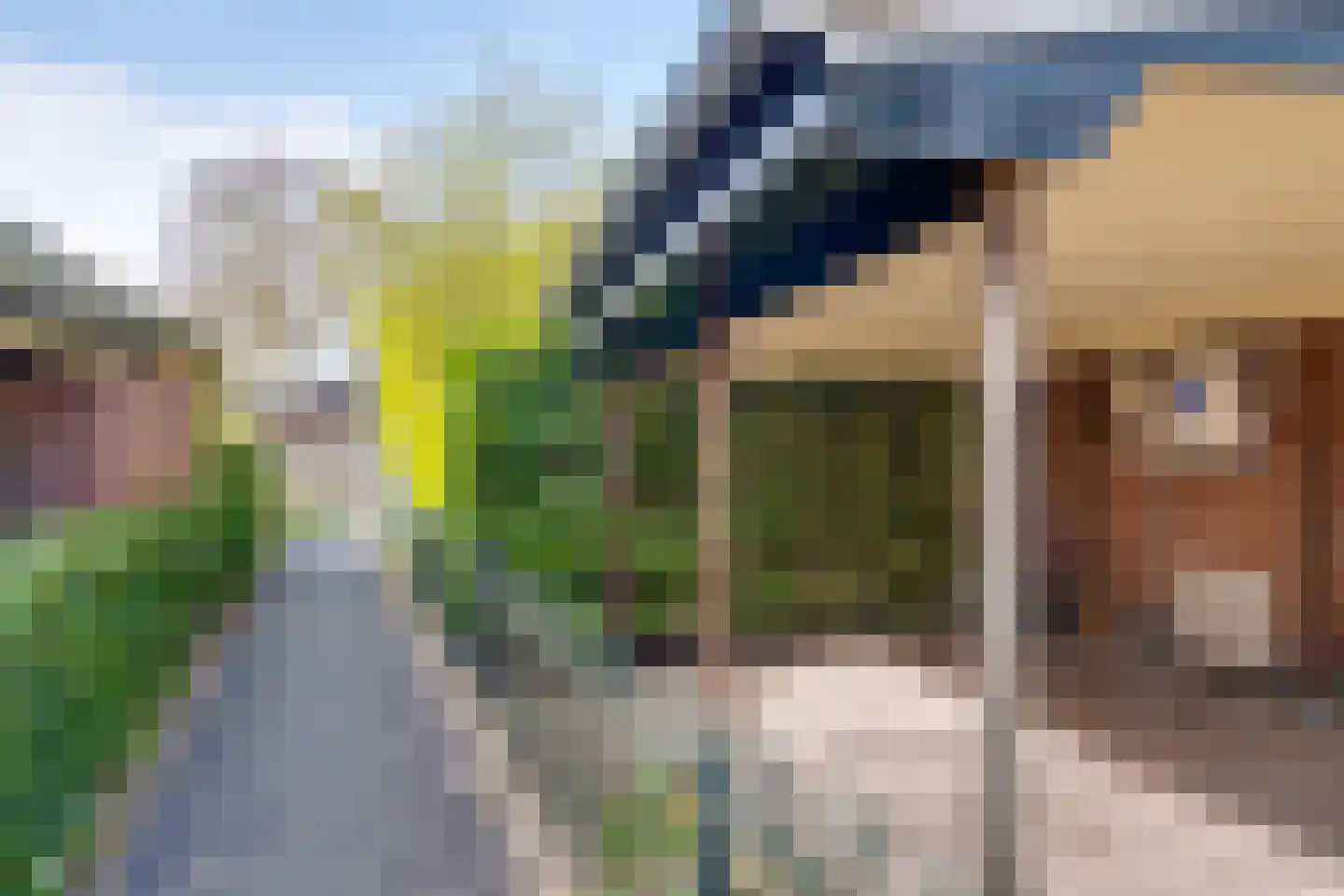 Braninkkamp 38 Laren thumbnail 27