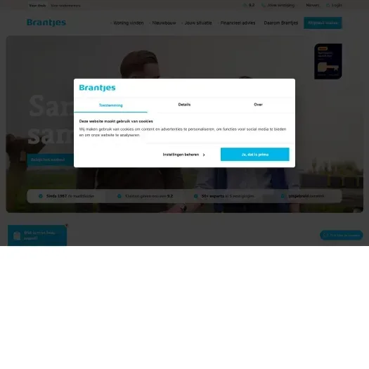 Screenshot van de website van www.brantjesmakelaars.nl