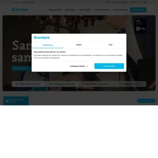 Screenshot of the website of www.brantjes.nl