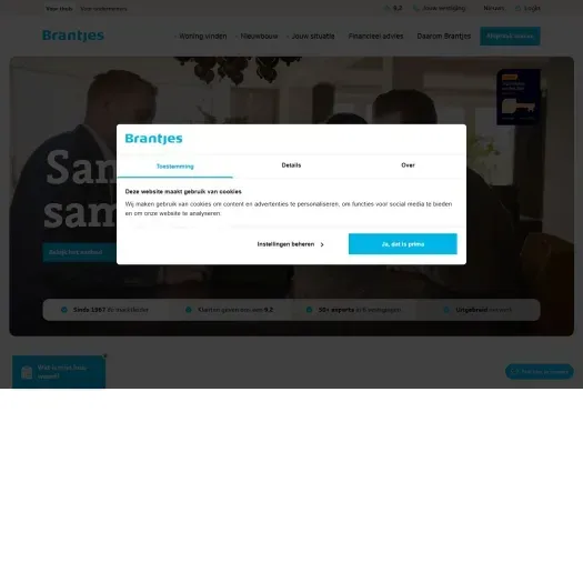 Screenshot of the website of www.brantjes.nl