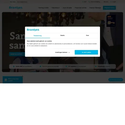 Screenshot van de website van brantjes.nl