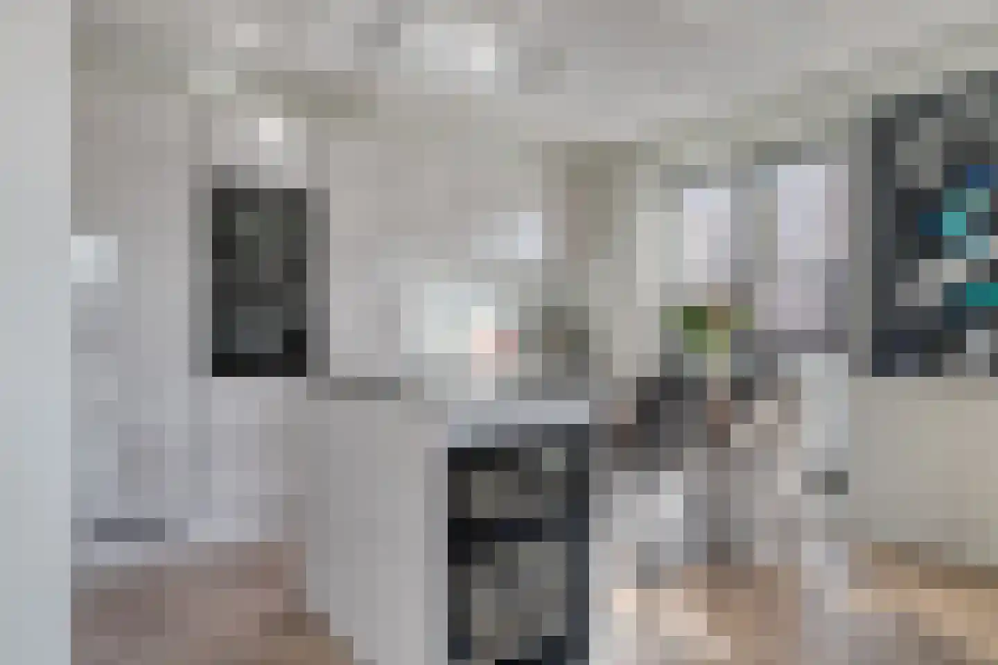 Brantjesoever 15 Purmerend thumbnail 10