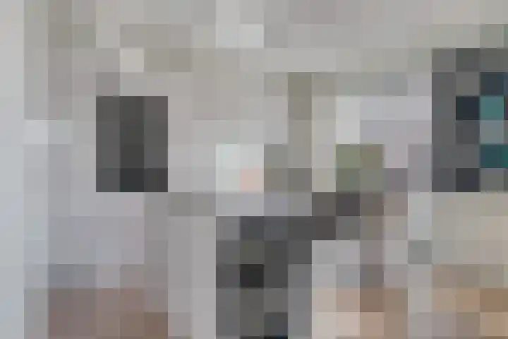 Brantjesoever 15 Purmerend thumbnail 10