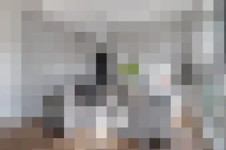 Brantjesoever 15 Purmerend thumbnail 11