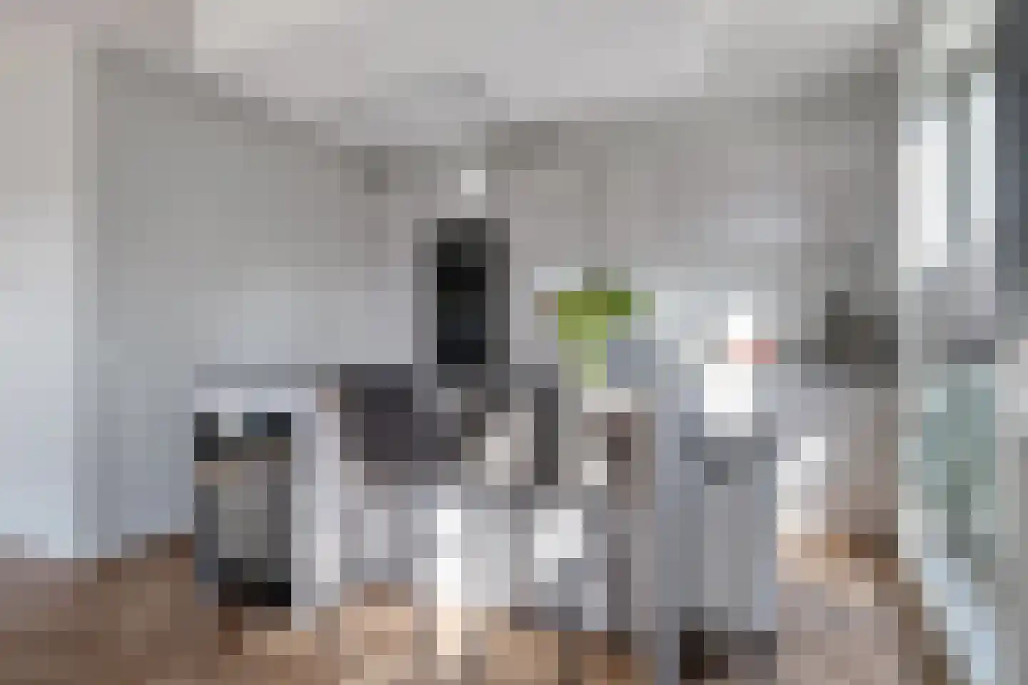 Brantjesoever 15 Purmerend thumbnail 11
