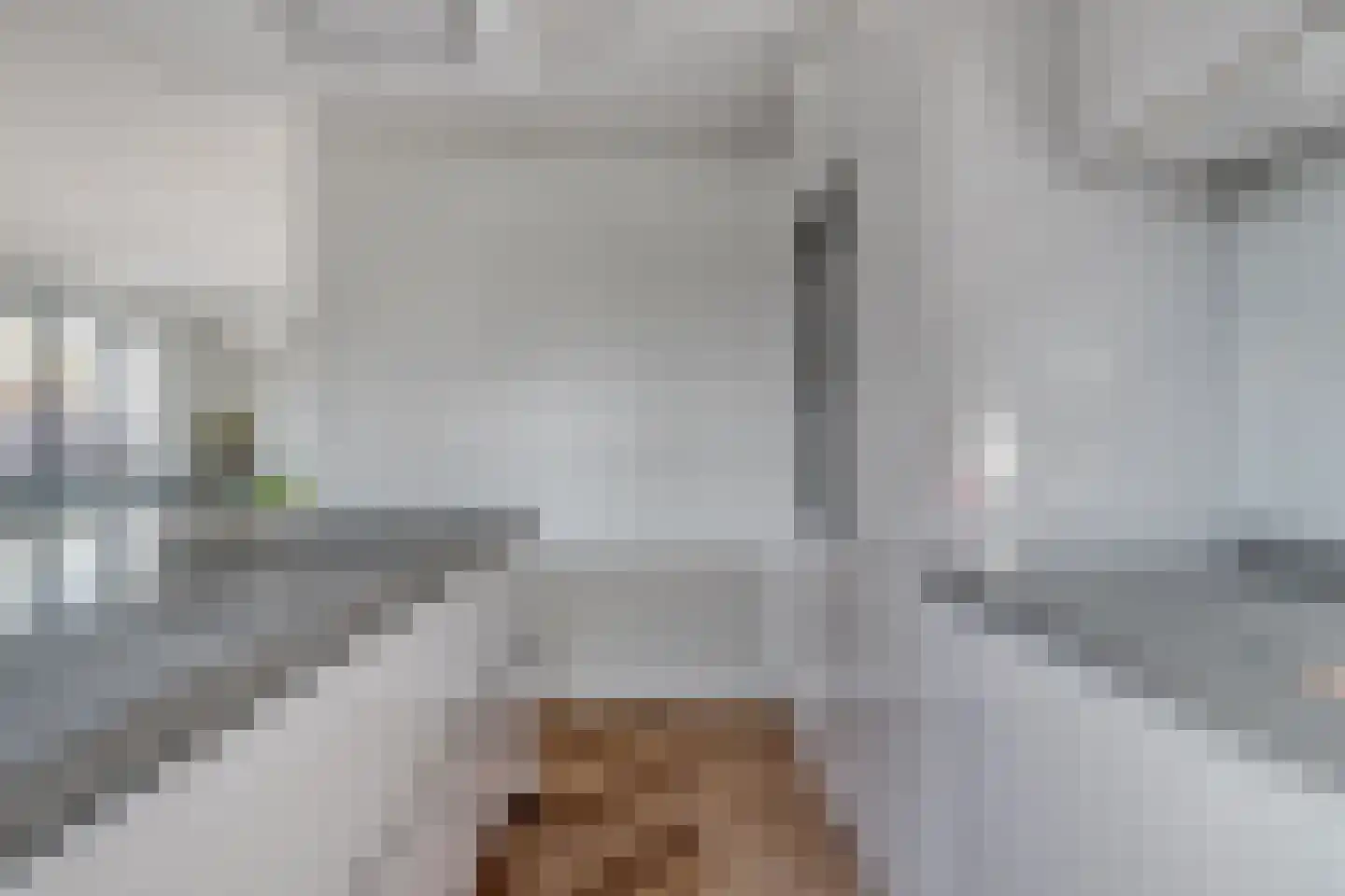 Brantjesoever 15 Purmerend thumbnail 12