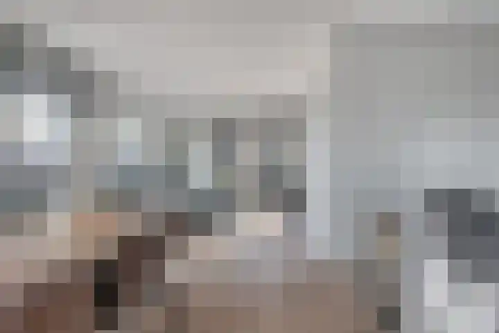 Brantjesoever 15 Purmerend thumbnail 13