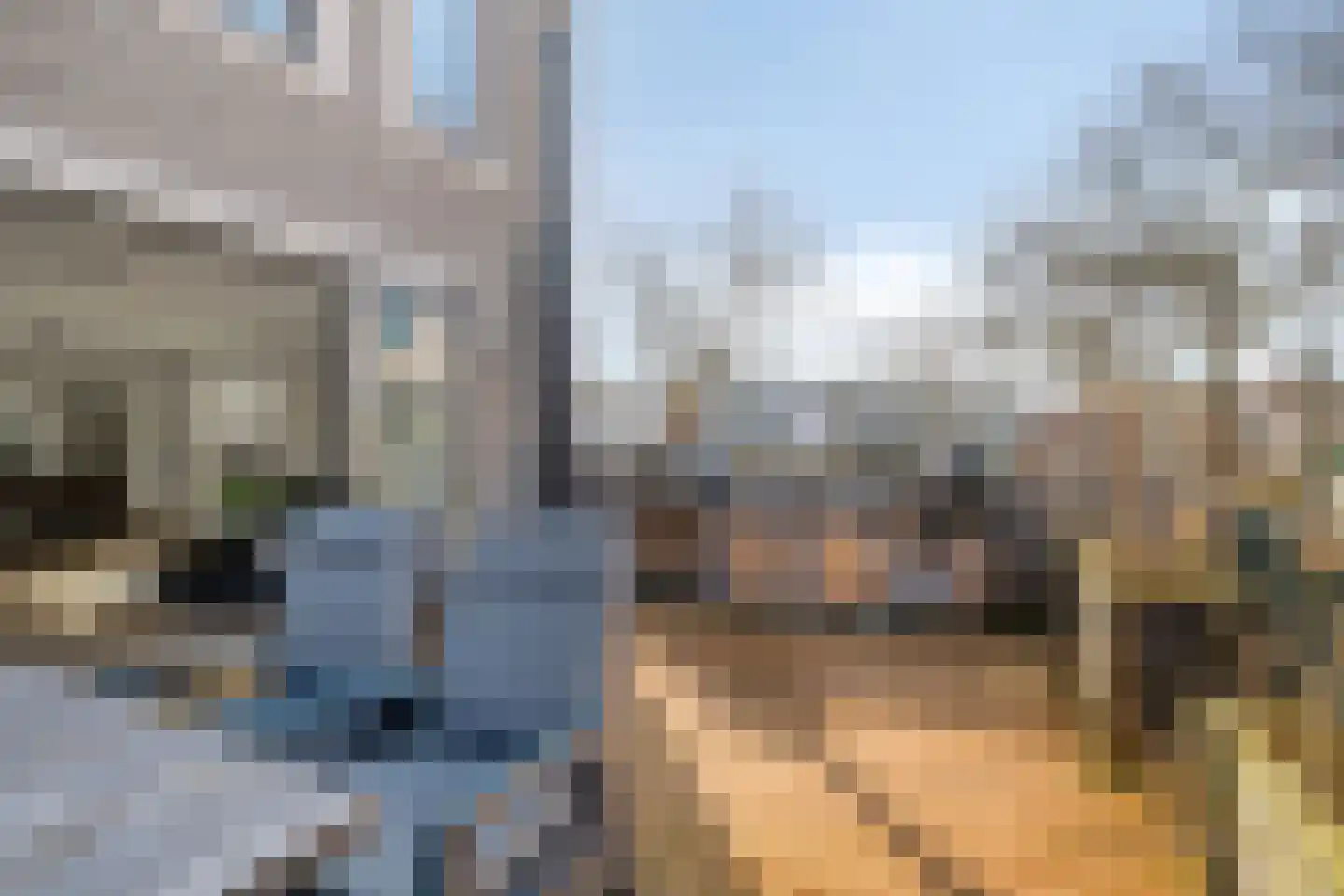 Brantjesoever 15 Purmerend thumbnail 15