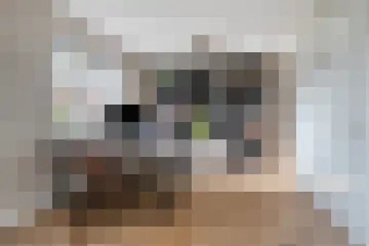 Brantjesoever 15 Purmerend thumbnail 27