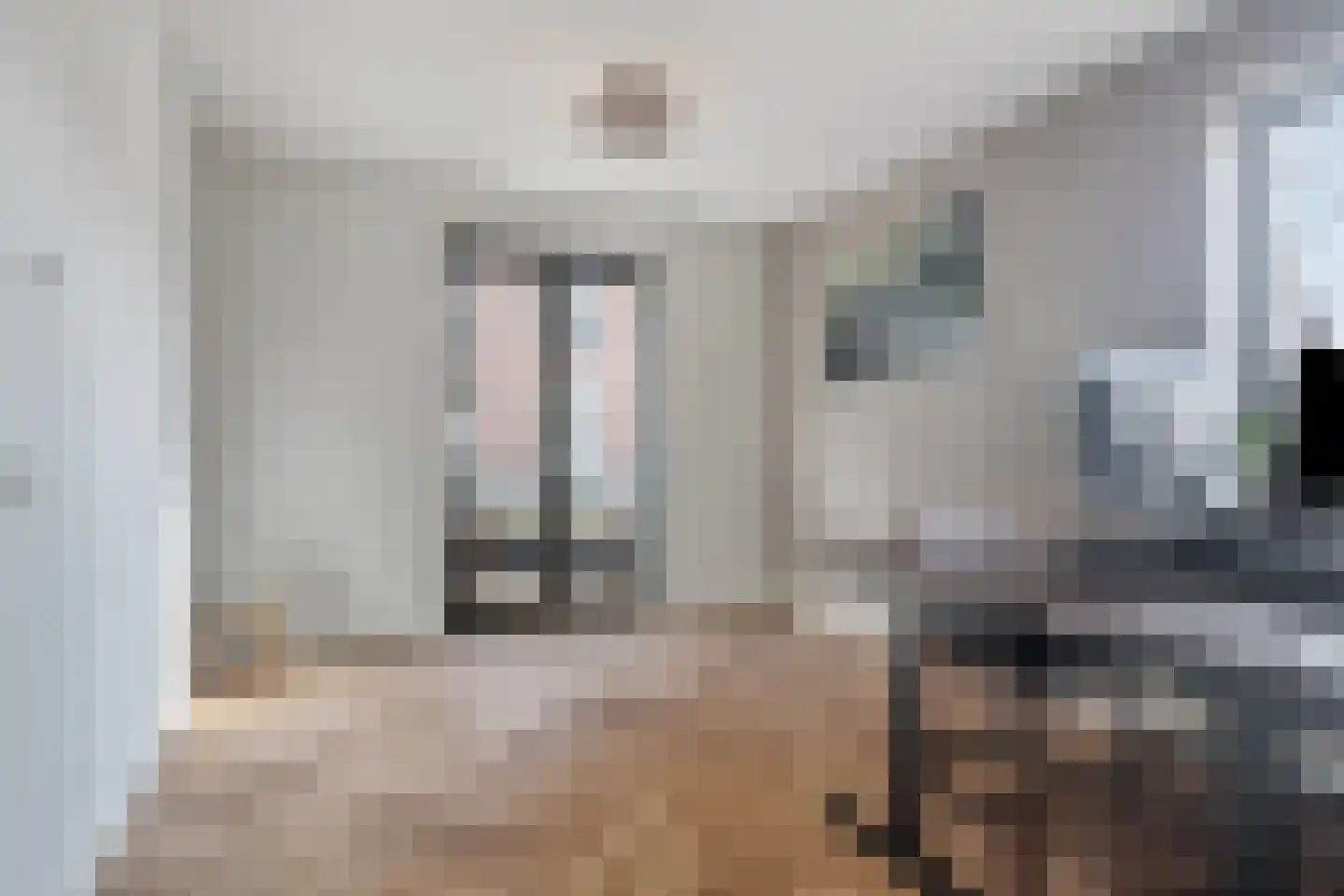 Brantjesoever 15 Purmerend thumbnail 28