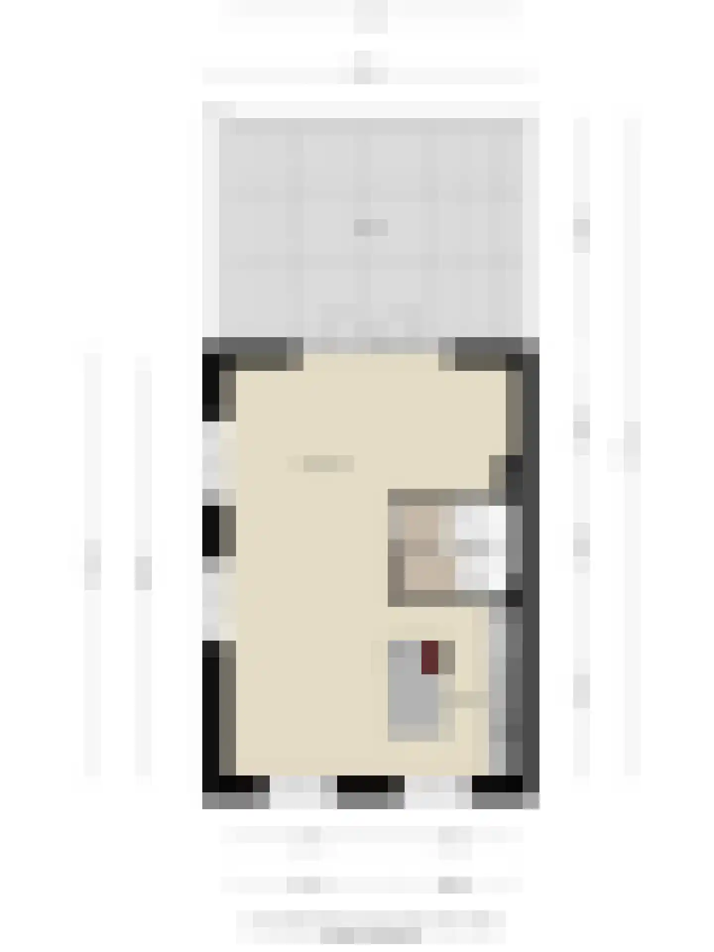 Brantjesoever 15 Purmerend thumbnail 41