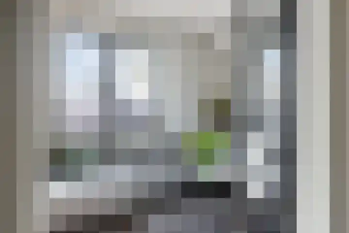 Brantjesoever 15 Purmerend thumbnail 6