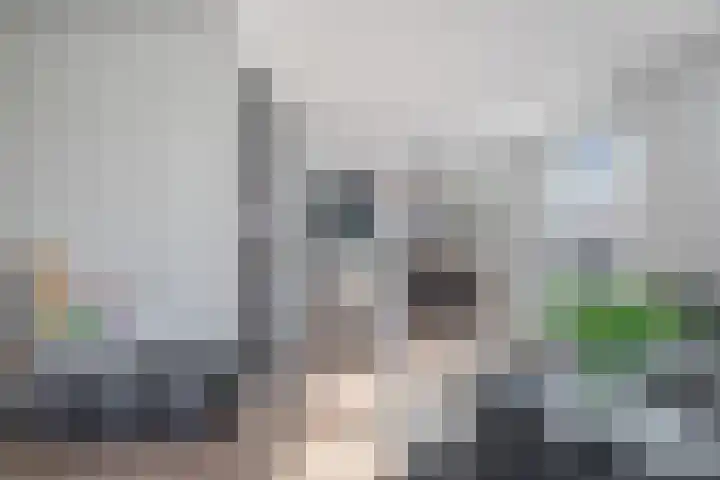 Brantjesoever 15 Purmerend thumbnail 8