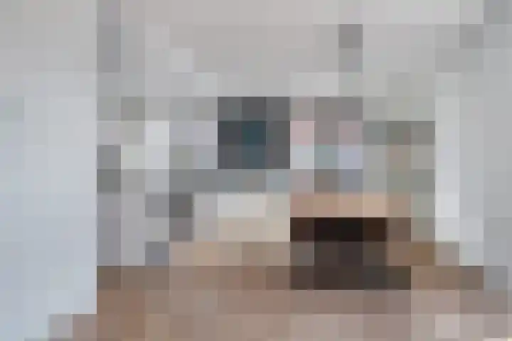 Brantjesoever 15 Purmerend thumbnail 9