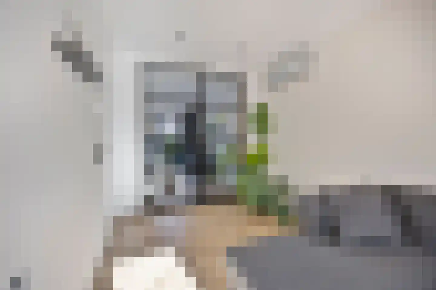 Brantjesoever 3 Purmerend thumbnail 12