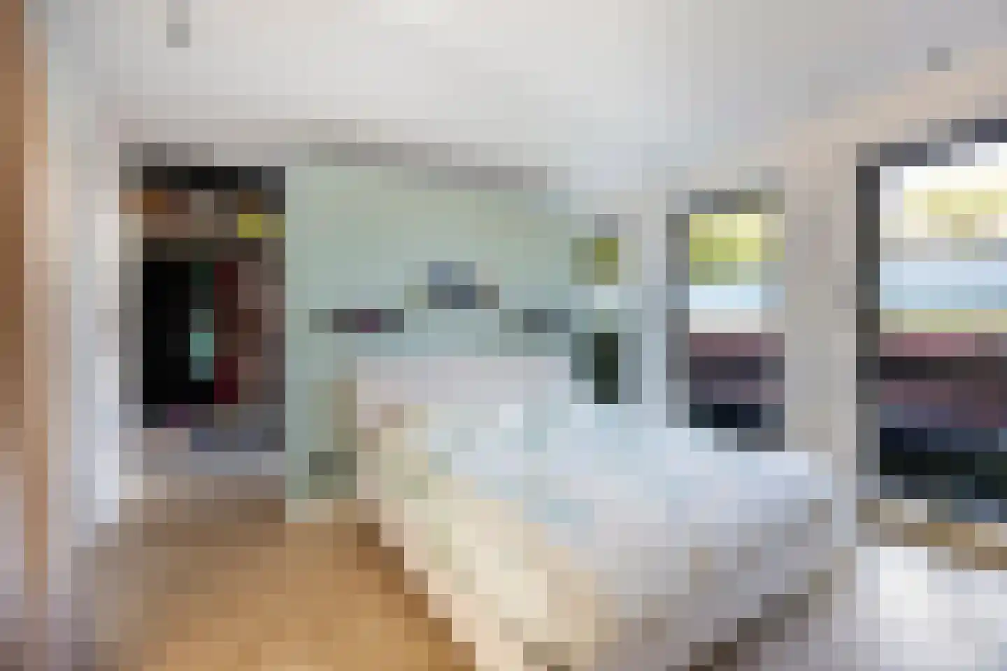 Brantjesoever 3 Purmerend thumbnail 19