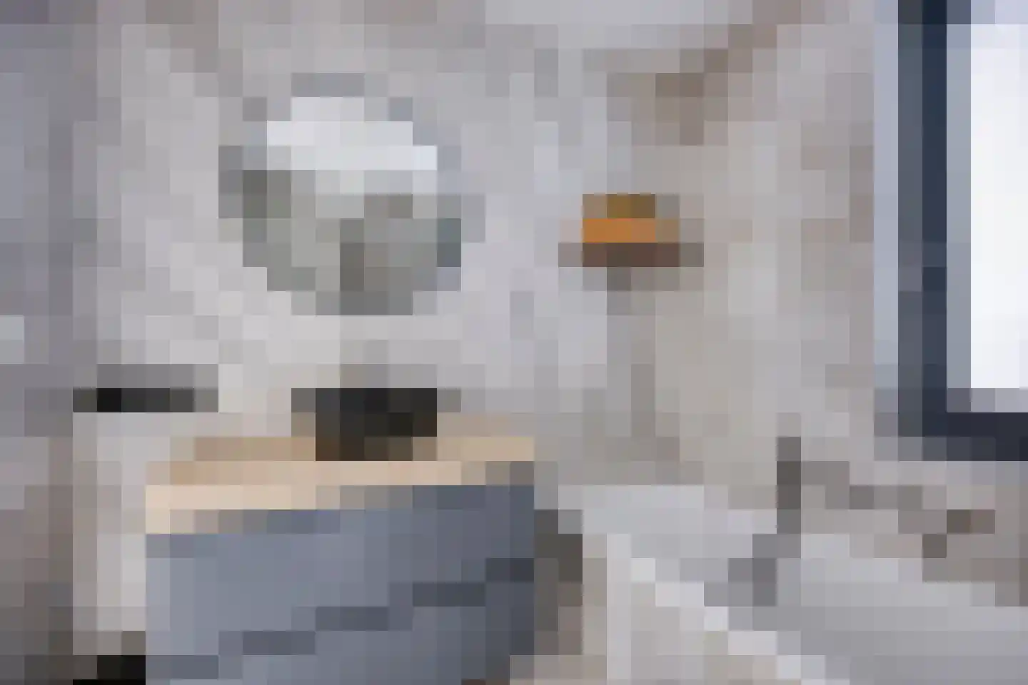 Brantjesoever 3 Purmerend thumbnail 22
