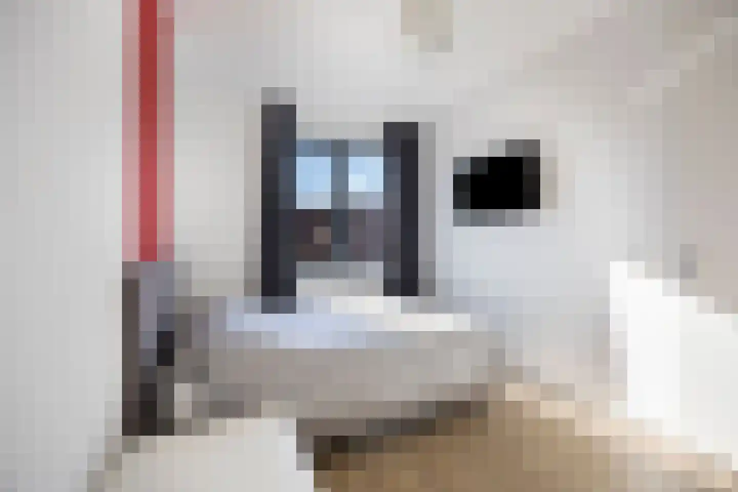 Brantjesoever 3 Purmerend thumbnail 23