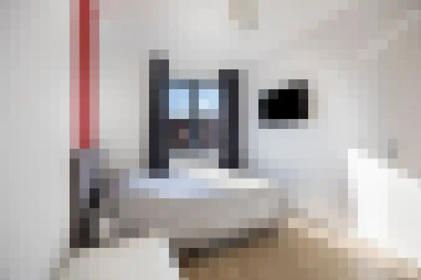 Brantjesoever 3 Purmerend thumbnail 24