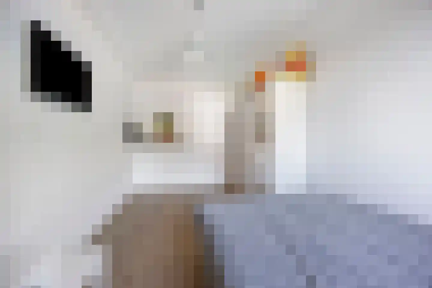 Brantjesoever 3 Purmerend thumbnail 25