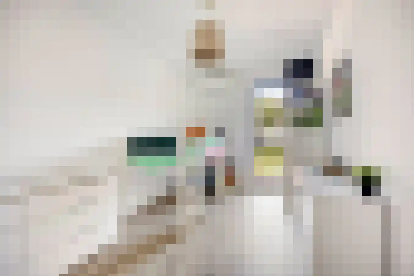 Brantjesoever 3 Purmerend thumbnail 26